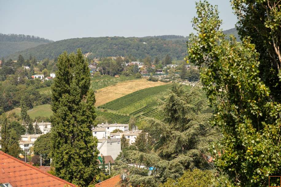 WEINBERGE und WIENBLICK: Schöner können Sie nicht wohnen!, Wohnung-kauf, 2.900.000,€, 1190 Wien 19., Döbling