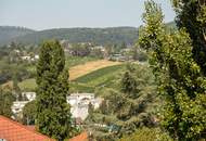 WEINBERGE und WIENBLICK: Schöner können Sie nicht wohnen!