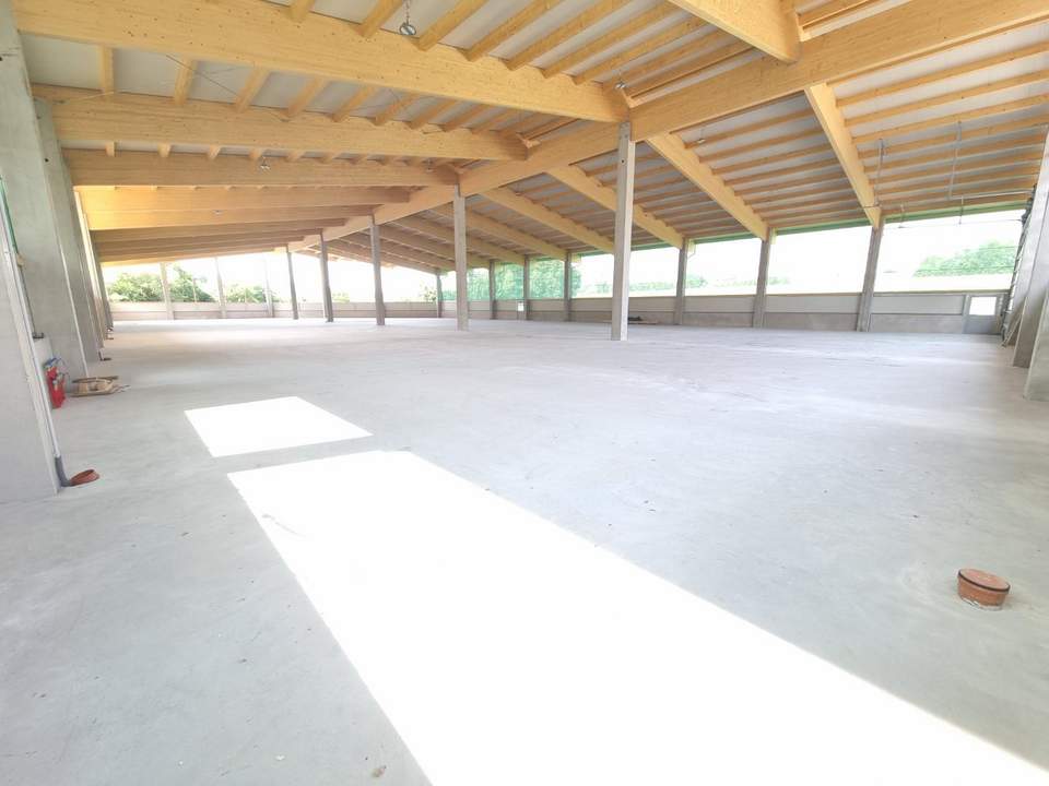 Moderne Lagerhalle - Flexibel anpassbar und sofort verfügbar!
