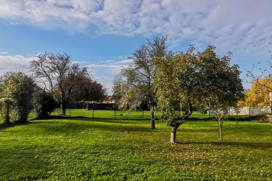 PERFEKT GESCHNITTEN - SÜDOST-AUSRICHTUNG - AUFSCHLIESSUNGSKOSTEN BEZAHLT, Grund und Boden-kauf, 196.000,€, 7091 Eisenstadt-Umgebung