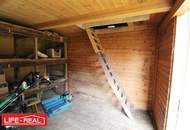 sonniges Grünland eingebetet neben Bach und Wald