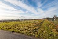 SPIEL- SPAß - FREUDE - Gestalten Sie Ihre Grünfläche selbst