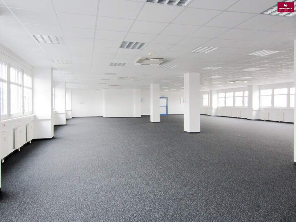 Büro 550 m2 südlich von Wien in Wr. Neudorf