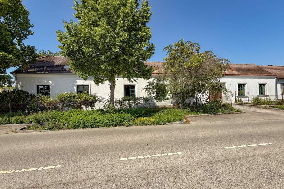 Historische Liegenschaft mit großem Grundstück, Werkstatt, ehemaliger Wagnerei und vielseitigem Potenzial, Haus-kauf, 550.000,€, 3430 Tulln