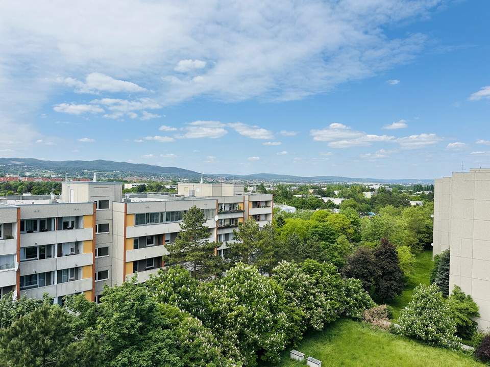Hochwertig renovierte Vierzimmerwohnung mit fantastischem Fernblick. Einziehen und Wohlfühlen!