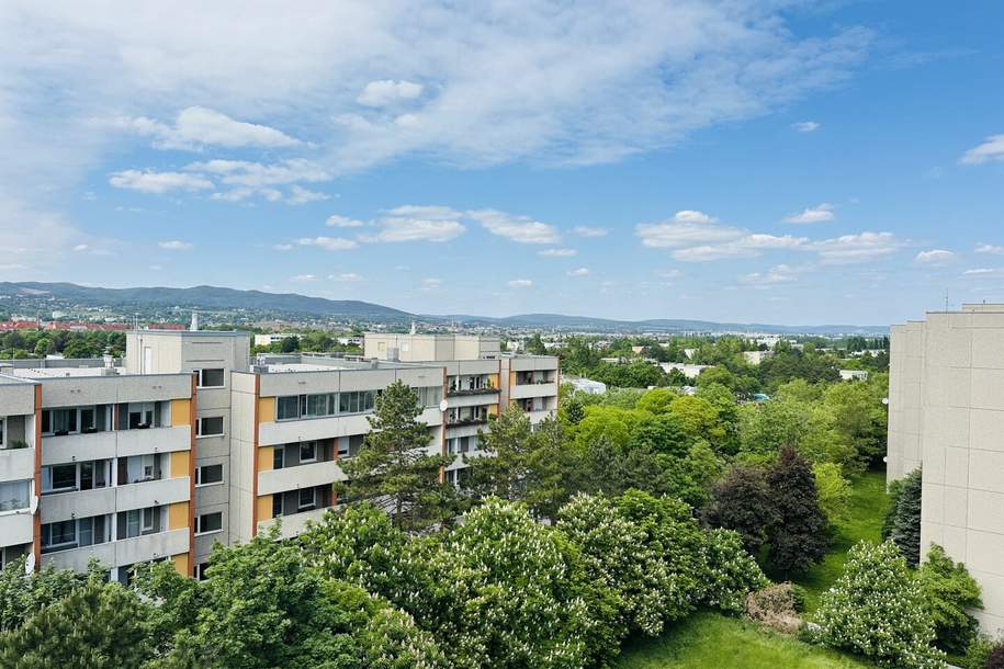 Hochwertig renovierte Vierzimmerwohnung mit fantastischem Fernblick. Einziehen und Wohlfühlen!, Wohnung-kauf, 399.000,€, 2351 Mödling