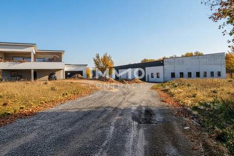 Provisionsfrei!! Top Betriebsstandort: Wohn-/Bürogebäude, Halle und großes Grundstück mit Entwicklungspotential, Gewerbeobjekt-kauf, 2.650.000,€, 2474 Neusiedl am See