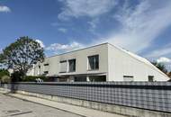 Traumhafte 3-Zimmer Triplex Wohnung mit Garten als auch Dachterrasse - hier werden Träume war - ab 01.07.