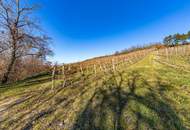 8798 m² WEINGARTEN IN DEN HÜGELN VON FAHNDORF - PANORAMALAGE!