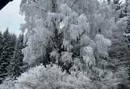 300 Meter von der MITTELSTATION STUHLECK entfernt