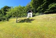 Saniertes Einfamilienhaus in bezaubernder Hartkirchner Aussichtslage