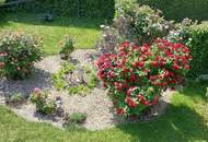 Alte Donau (ca. 200m) Grundstück in traumhafter Wasserlage