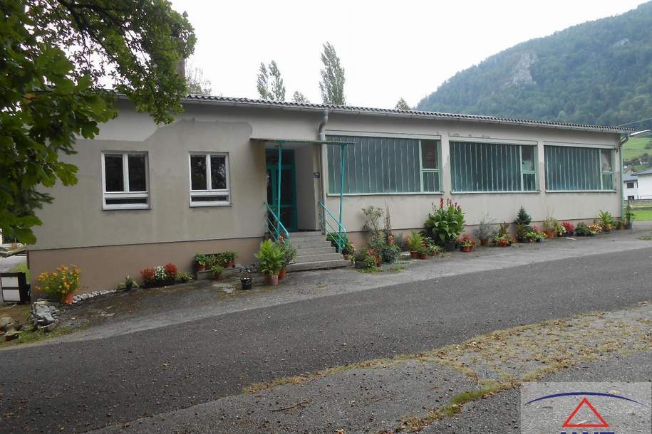 Halle mit größerem Grundstück und vielen Nutzungsmöglichkeiten!, Gewerbeobjekt-kauf, 4460 Steyr-Land
