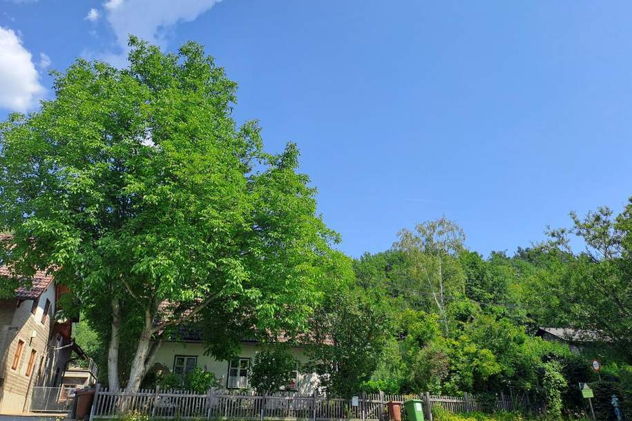 CHARMANTES HÄUSCHEN FÜR HANDWERKLICH GESCHICKTE HÄNDE, Haus-kauf, 140.000,€, 2650 Neunkirchen