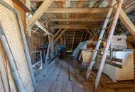 Landwirtschaft im Gailtal sucht grünen Daumen