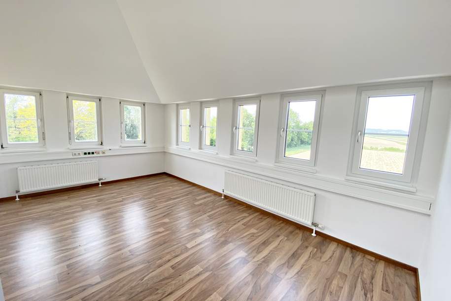 Penthouse-Wohnung im 2.OG! Wohnen und Arbeiten zugleich, Wohnung-miete, 990,57,€, 4650 Wels-Land