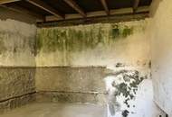 Ein besonderer Platz im Grünen – charmantes Haus in Münichsthal