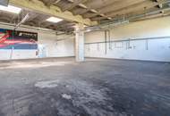 GIGANTISCH gesucht? HIER RICHTIG