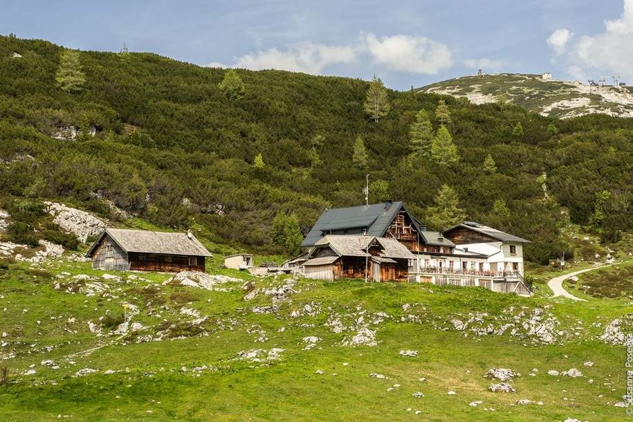 Berghütte/Alm in traumhafter Alleinlage mit Blick auf das atemberaubende Dachsteinmassiv, Gewerbeobjekt-kauf, 1.590.000,€, 4831 Gmunden