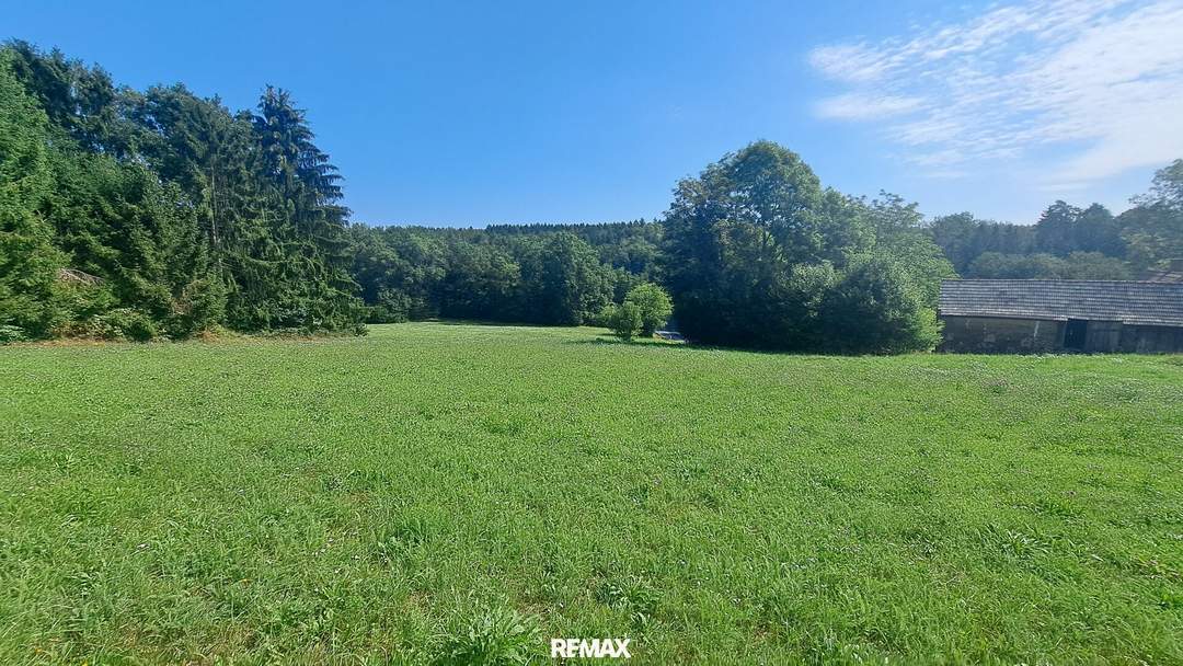 Traumhaftes Baugrundstück in Weinitzen in sonniger Waldrandlage