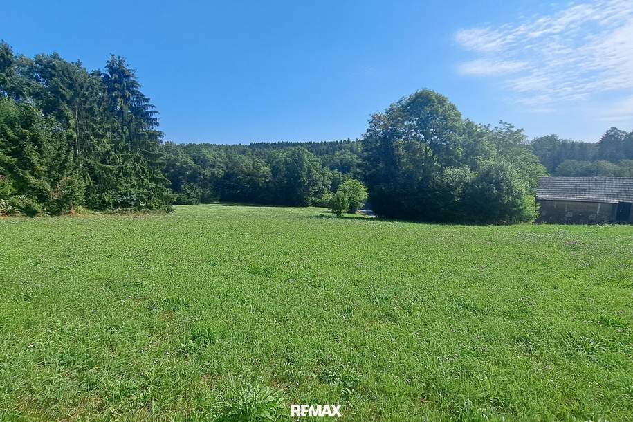 Traumhaftes Baugrundstück in Weinitzen in sonniger Waldrandlage, Grund und Boden-kauf, 250.000,€, 8044 Graz-Umgebung