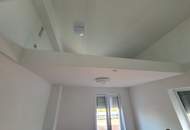 Traumhafte Penthouse-Wohnung in Wr. Neustadt.