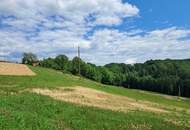 Die eigene Ranch auf 9,2ha Grund und Wald verwirklichen (Provisionsfrei)