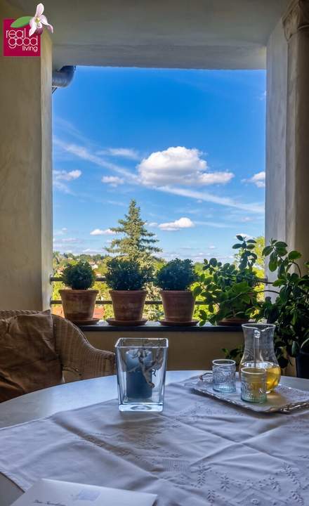 Exquisites Wohnen im Glanzingpark: Repräsentative 7-Zimmer-Residenz mit Traumblick, hohen Räumen und allgemeinen Wellnessbereich