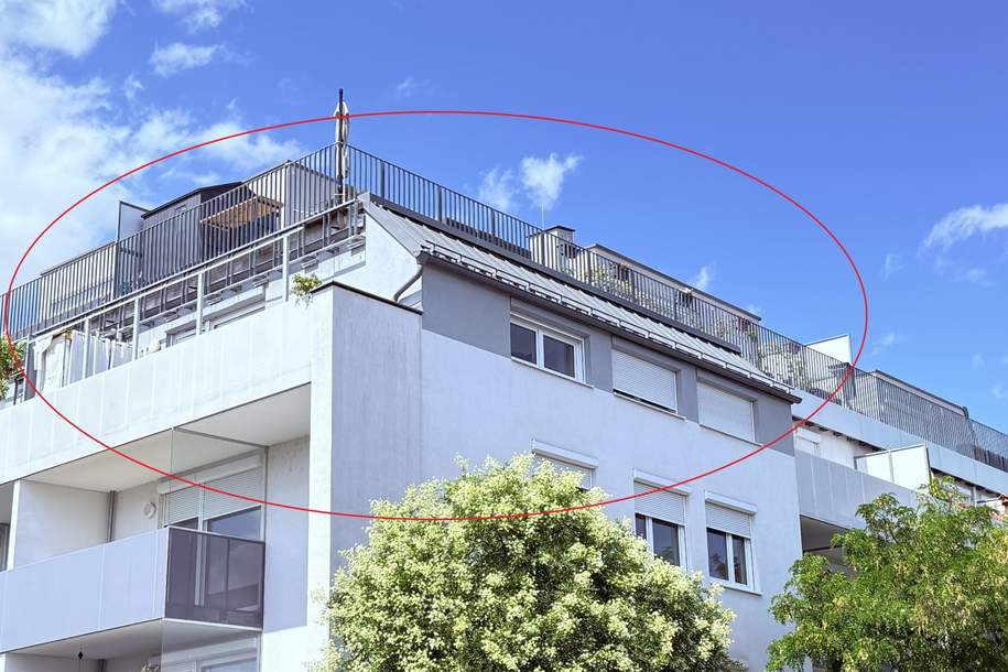 14m² MEGA-SÜD-Balkon nahe Akademiepark, Wohnung-miete, 1.198,00,€, 2700 Wiener Neustadt(Stadt)