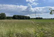 Luxuriöse Doppelhaushälfte nahe Nationalpark Donau-Auen