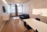 STEPHANSPLATZ-NÄHE, möbliertes 35 m2 Apartment, 1 Zimmer, Kochnische, Duschbad, Parketten, 3. Liftstock, Rotenturmstraße