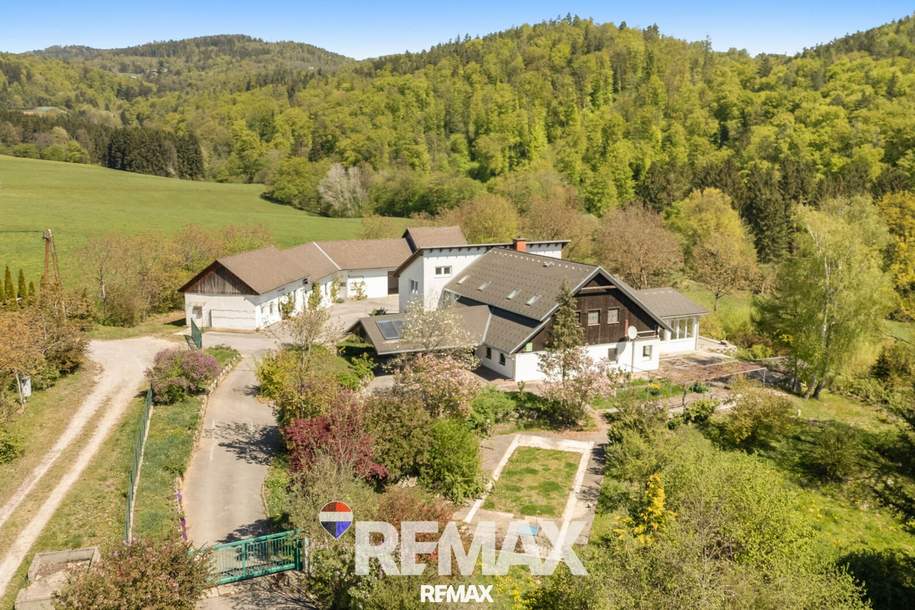 Außergewöhnliches Anwesen in idyllischer Naturlage mit besonderem Flair, Haus-kauf, 1.190.000,€, 8101 Graz-Umgebung