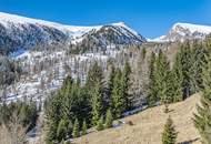 ALM-CHALET 1 - Freizeitwohnsitz in Toplage