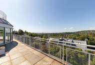 SCHAFBERG | PENTHOUSE | TERRASSEN UND DACHGARTEN | POOL | FERNBLICK