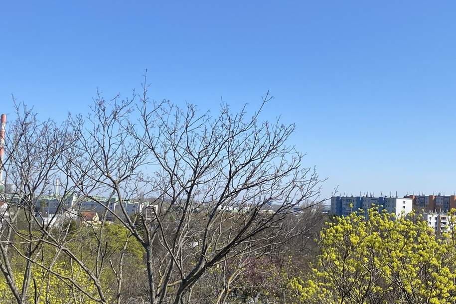 =DAS LAURENZ= ERSTBEZUG Top Anlage Dachwohnung U3 2 Zimmer + Terrasse - 1 bedroom apartment+terrace, Wohnung-kauf, 777.900,€, 1110 Wien 11., Simmering