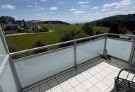 Kleine feine Eigentumswohnung mit herrlichem Süd-Balkon (Weitblick!)