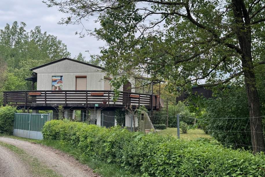"Sommerhaus auf Eckpachtgrundstück am linken Donauufer", Haus-kauf, 75.000,€, 3430 Tulln