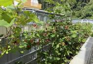 Wunderschöne Eigentumswohnung mit Terrasse und tollem Garten in herrlicher Grünruhelage