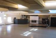 LOFT mit Galerie und vielen Nutzungsmöglichkeiten!