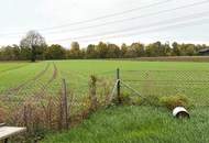 Viel Platz, viele Optionen: Zweifamilienhaus in bester Lage