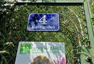 GSPÖTTGRABEN - IDYLLISCHES GARTENPARADIES IN ABSOLUTER RUHELAGE