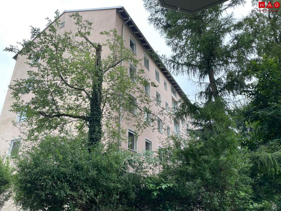 Möblierte Bürofläche (Umnutzung auf Wohnung möglich) im Erdgeschoss – zentral mitten in Salzburg