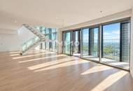 The Skyline Penthouse: DC2 Tower Level 51 - DANUBE HORIZON