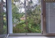 | TRAUMWOHNUNG MIT FLAIR FÜR GEHOBENE ANSPRÜCHE | 4-ZIMMER | HERRLICHER GRÜNRUHELAGE | STELLPLATZ| SOFORTBEZUG