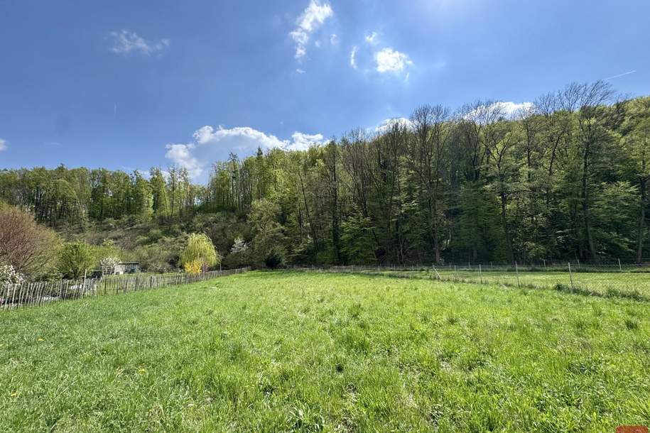Sonniges und ebenes Baugrundstück in Klosterneuburg-Weidling, Grund und Boden-kauf, 790.000,€, 3400 Tulln