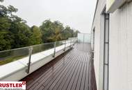 Geräumige 3 Zimmerwohnung mit großzügigen Terrassen!