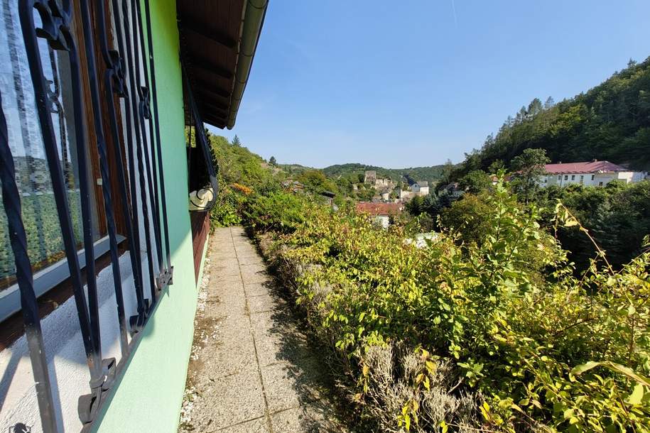 Sanierungsobjekt mit 1571m² Grundstück, Haus-kauf, 330.000,€, 3500 Krems an der Donau(Stadt)