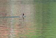 2 Seegrundstücke am Weissensee