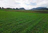 Landwirtschaft 11 ha, mit Hofstelle, Wald und Wiese