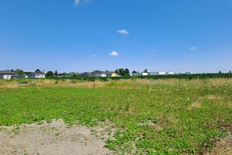Baugrundstück am Feldesrand, Grund und Boden-kauf, 290.000,€, 2486 Baden